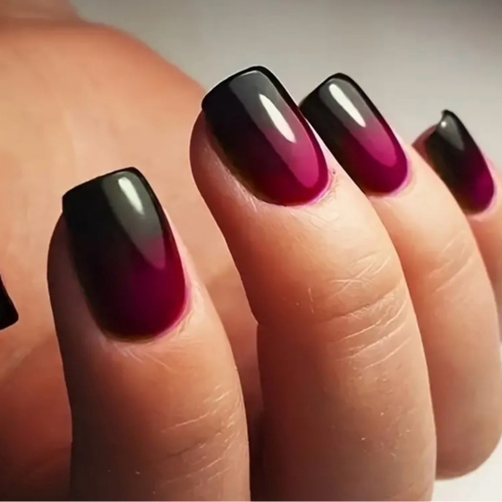Red Wine Fake Press On Nails NWT